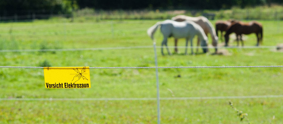 Pferdeweide mit Elektrozaun