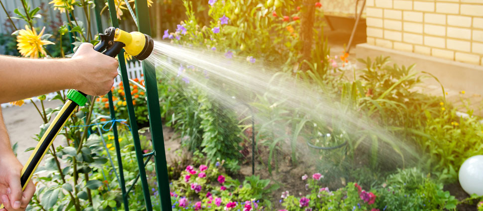 Garten wird bewässert