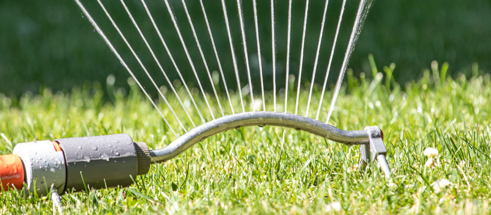 Rasensprinkler im Sommer