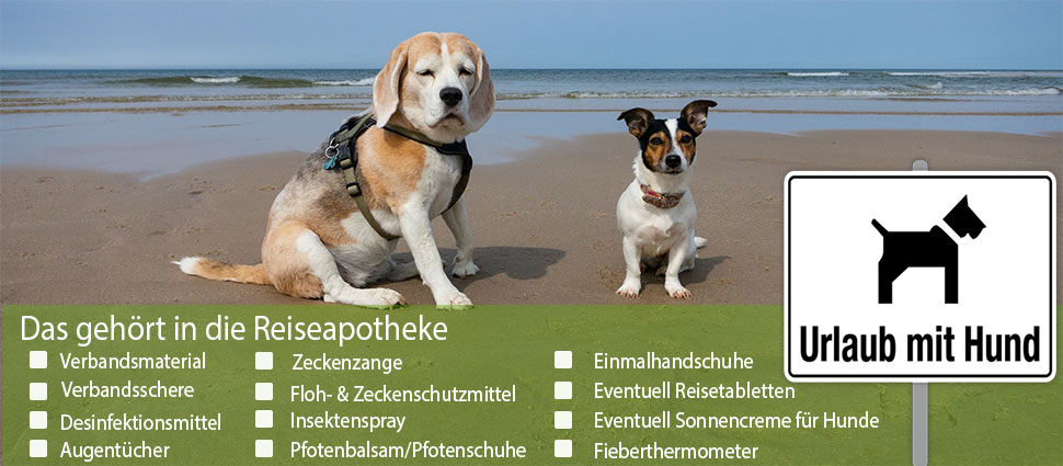 Hunde Apotheke für die Reise